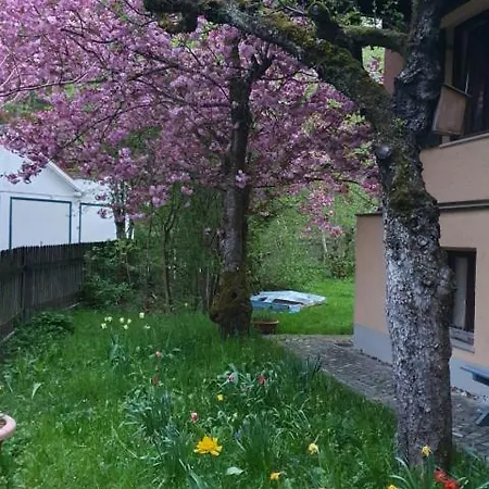 Central Starnberg And Surrounded By Nature Exterior photo